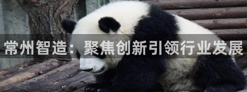 意昂体育3招商电话是多少号码：常州智造：聚焦创新引领行业发展
