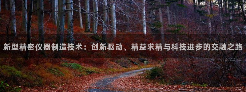 意昂体育3招商电话地址查询：新型精密仪器制造技术：创新驱动、