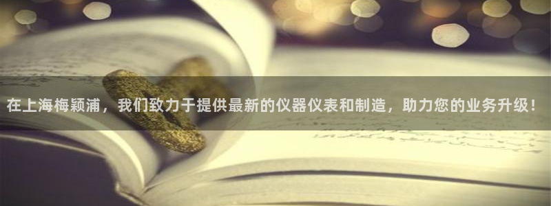 意昂3娱乐代理怎么样：在上海梅颖浦，我们致力于提供最新的仪器