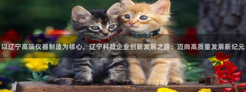 意昂体育3招商电话地址是多少