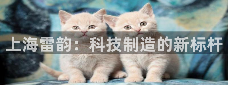 意昂3代理