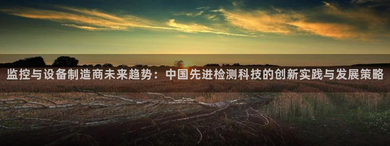 意昂3娱乐首页官网下载：监控与设备制造商未来趋势：中国先进检