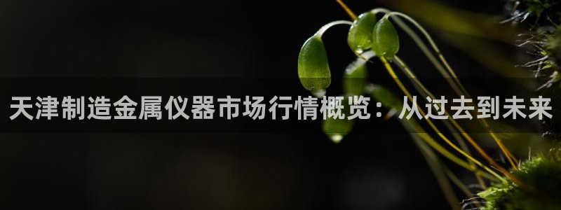 意昂体育3平台注册：天津制造金属仪器市场行情概览：从过去到未