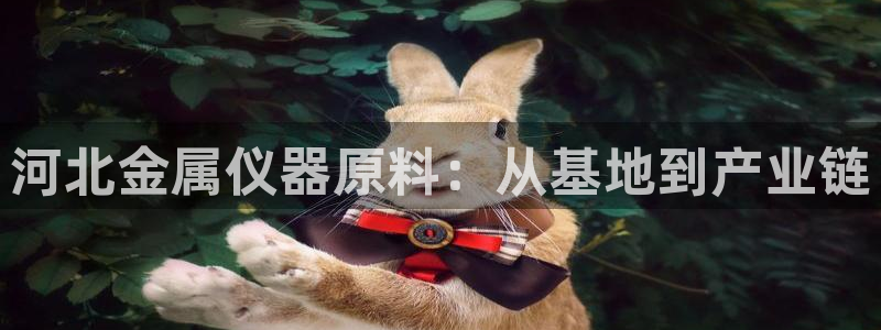 意昂体育3平台注册要钱吗：河北金属仪器原料：从基地到产业链