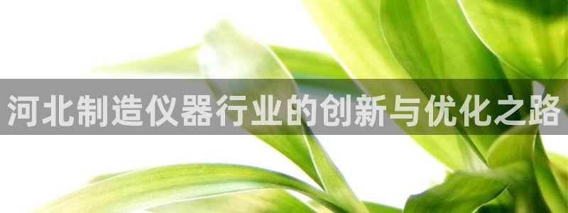 意昂3神州：河北制造仪器行业的创新与优化之路