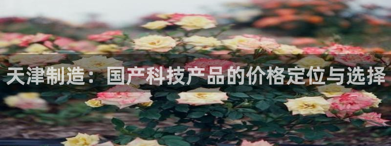 意昂体育3招商电话地址是多少：天津制造：国产科技产品的价格定
