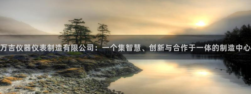 意昂体育3招商电话地址：万吉仪器仪表制造有限公司：一个集智慧