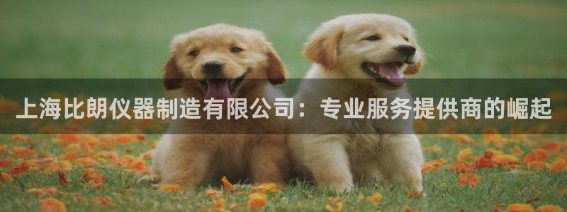 意昂体育3招商电话是多少啊：上海比朗仪器制造有限公司：专业服