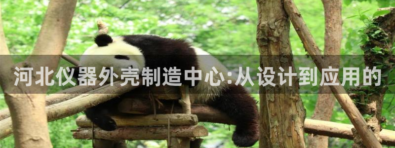 意昂体育3平台是正规平台吗安全吗：河北仪器外壳制造中心:从设