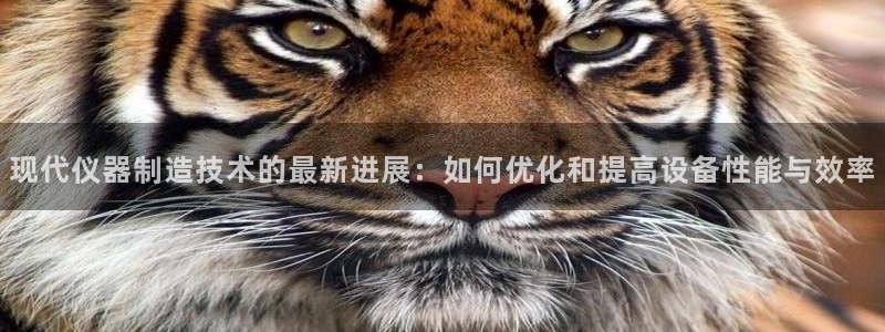 意昂体育3是干嘛的公司：现代仪器制造技术的最新进展：如何优化